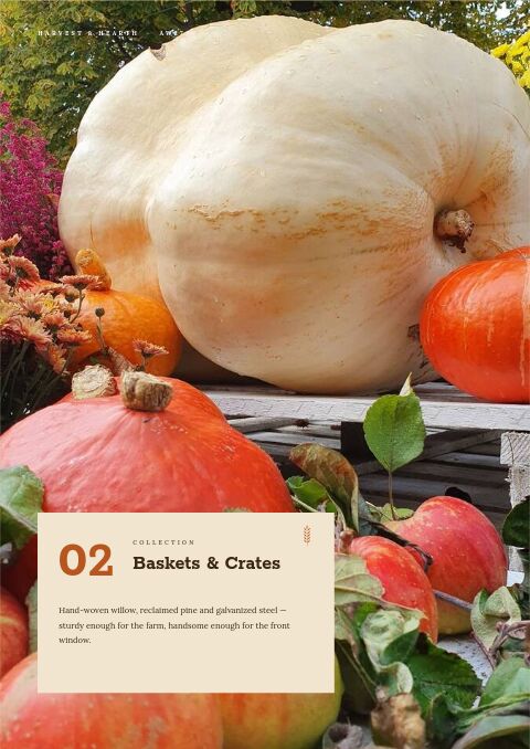 Autumn Collection — Collection Divider page