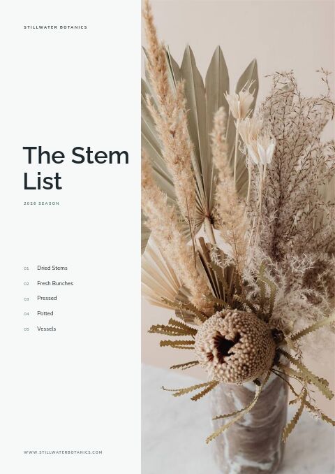 Clean Catalog — Cover · band page