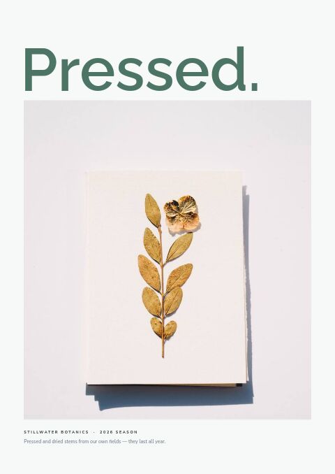 Clean Catalog — Cover · poster page