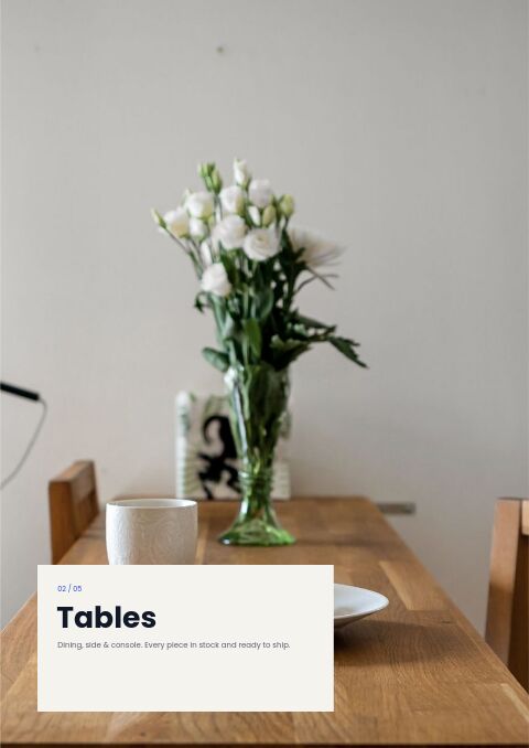 Modern Catalog — Collection Divider page