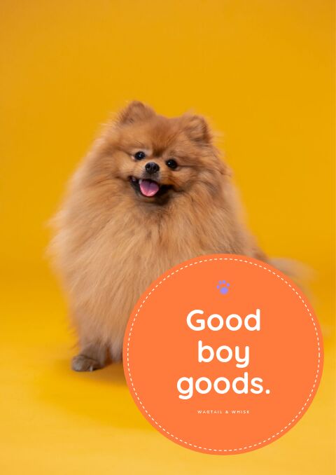 Pet Products Catalog — Cover · poster page