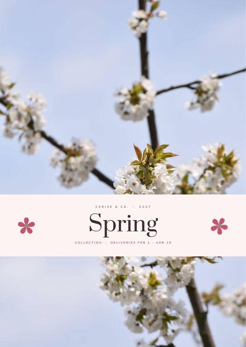 Spring Collection — Cover · band page