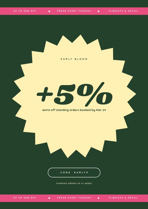 Spring Sale — Promo / Sale page