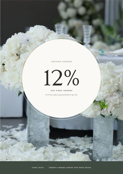 Wedding Season — Promo / Sale page