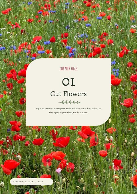 Garden & Floral — Collection Divider page