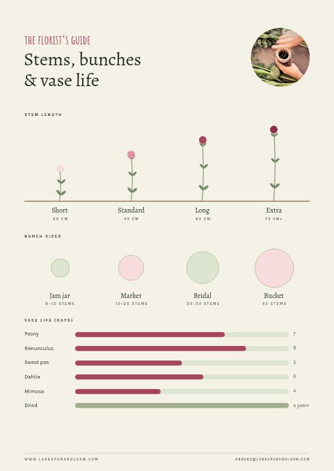 Garden & Floral — Size / Spec Guide page