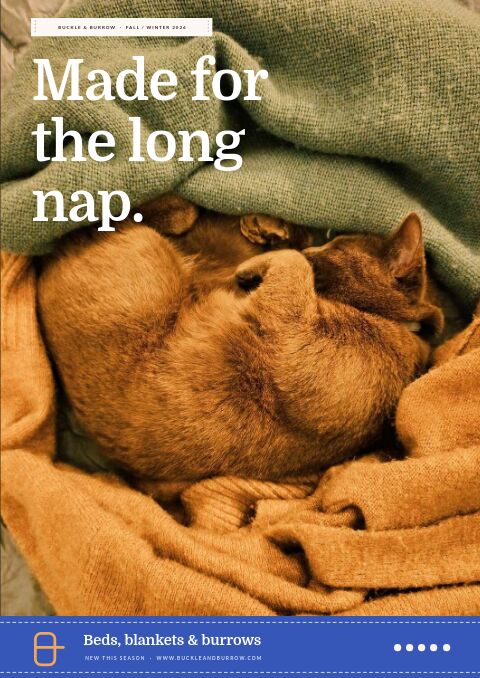 Pet Supplies Premium — Cover · poster page