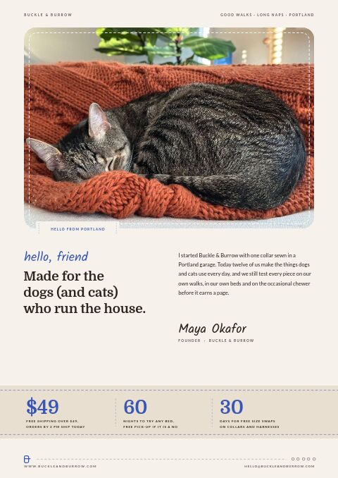 Pet Supplies Premium — Welcome / About page