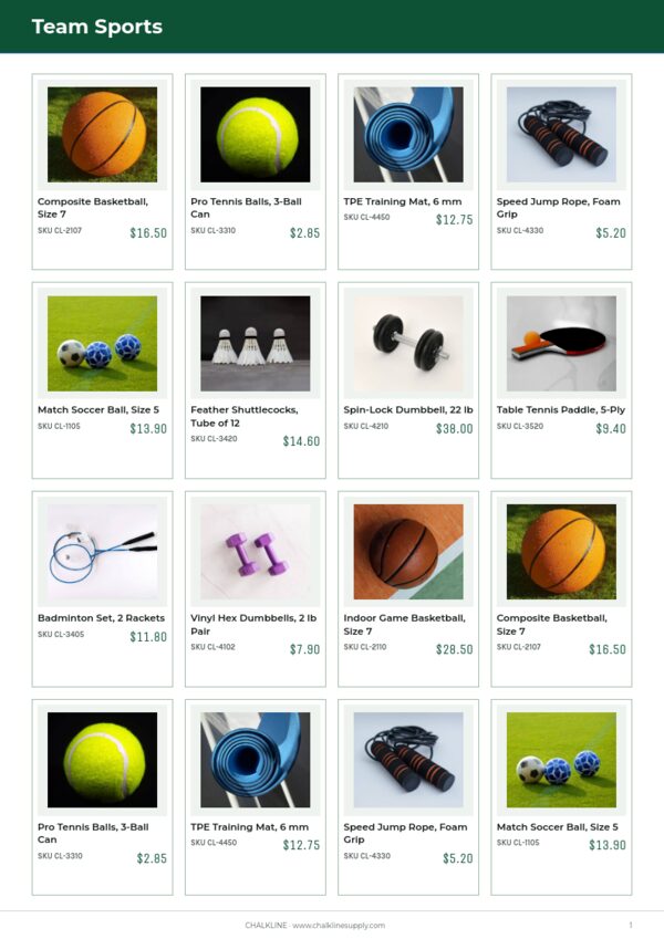 Sports & Outdoors Premium — product page, 4 × 4 grid