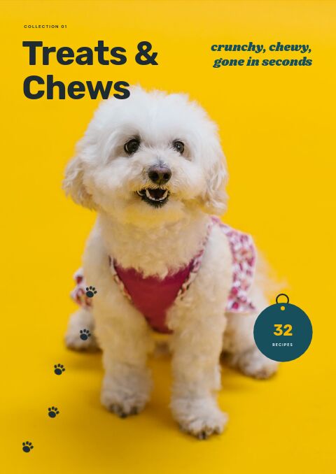 Pet Supplies — Collection Divider page