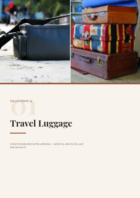 Bags & Luggage — Divider page