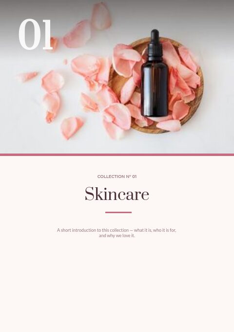 Blush Beauty — Divider page