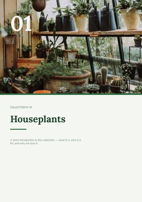 Urban Jungle — Divider page