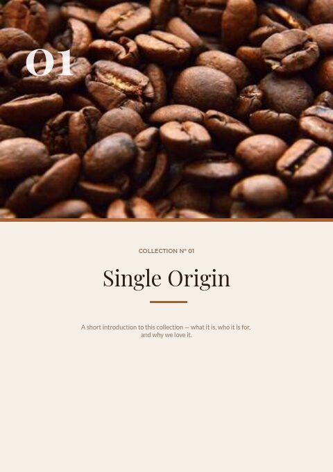 Coffee & Roastery — Divider page