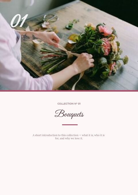 Bloom & Stem — Divider page