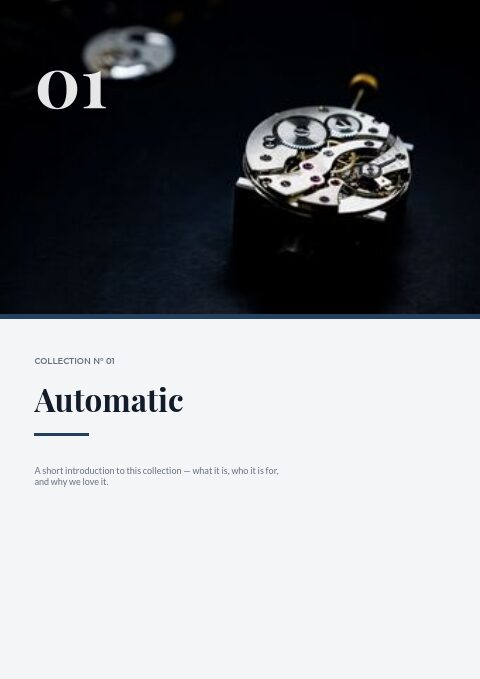 Meridian Watch Co. — Divider page
